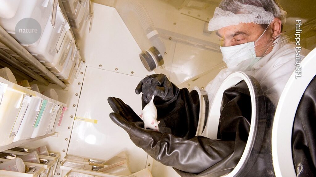Why simply ending animal testing isn’t the answer in biomedical research