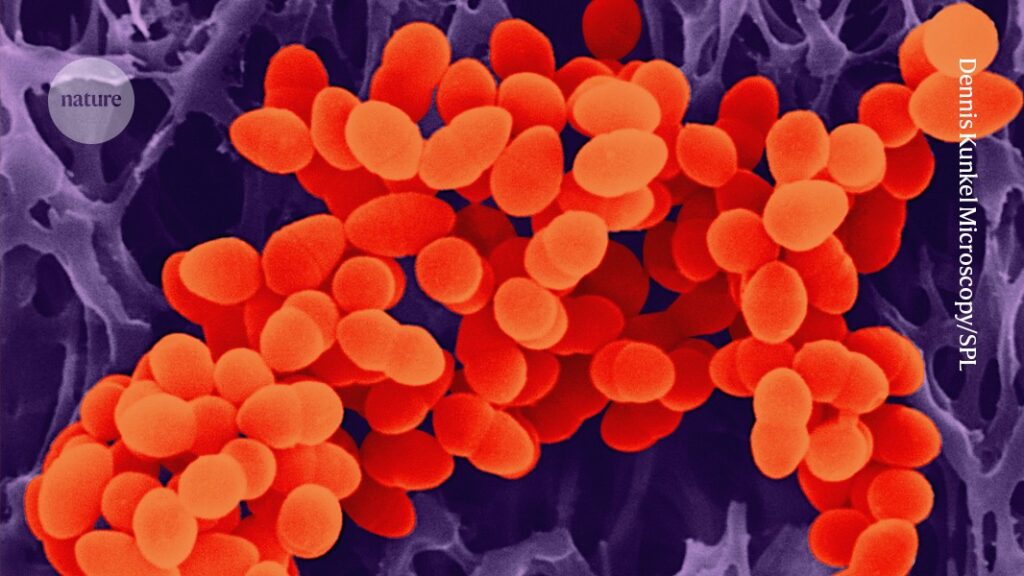 antimicrobial resistance in six charts