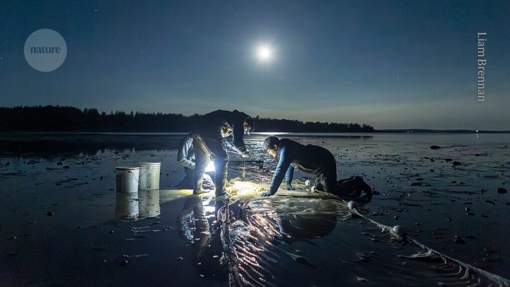 how I gained hands-on experience in marine biology