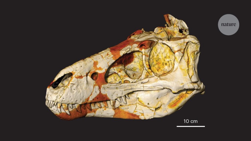 <i>T. rex</i> debate settled: contested fossils are smaller rival species, not juveniles