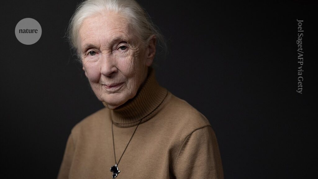 pioneer primatologist who inspired generations of scientists