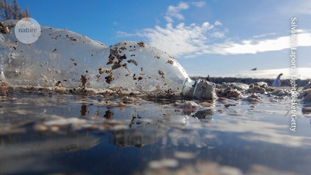 the essential elements missing from plastics treaty talks the essential elements missing from plastics treaty talks