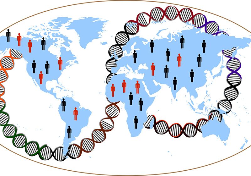 A Multi-Ancestry Analysis Reveals Novel Obesity-Related Genes The Scientist Logo