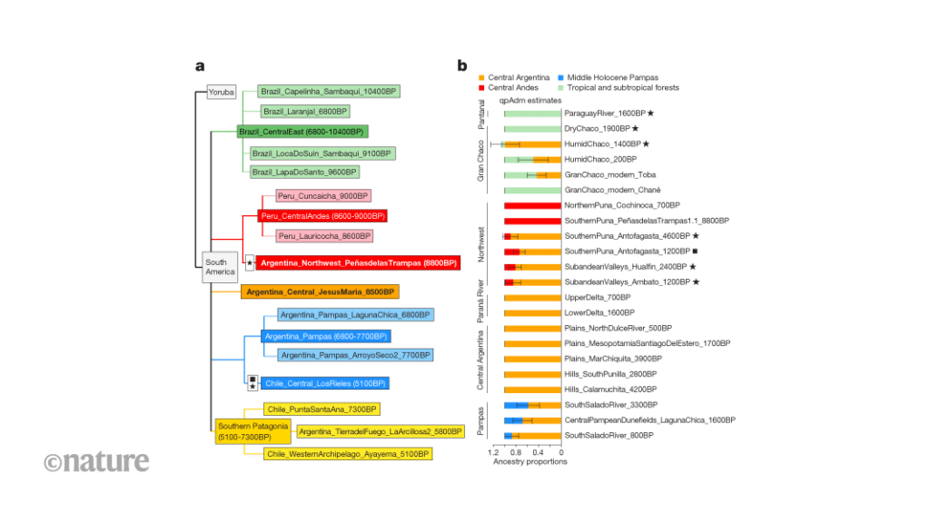 A distinctive human genetic lineage persisted in central Argentina for 8,500 years A distinctive human genetic lineage persisted in central Argentina for 8,500 years