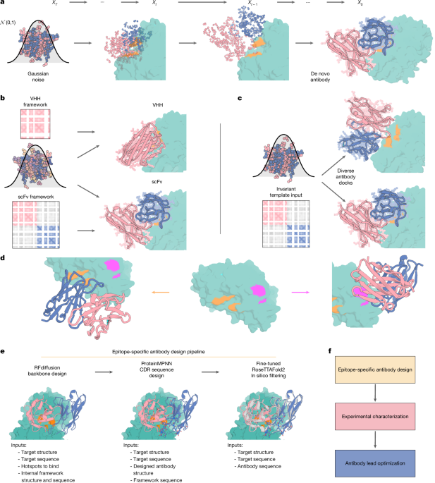 Atomically accurate de novo design of antibodies with RFdiffusion Atomically accurate de novo design of antibodies with RFdiffusion