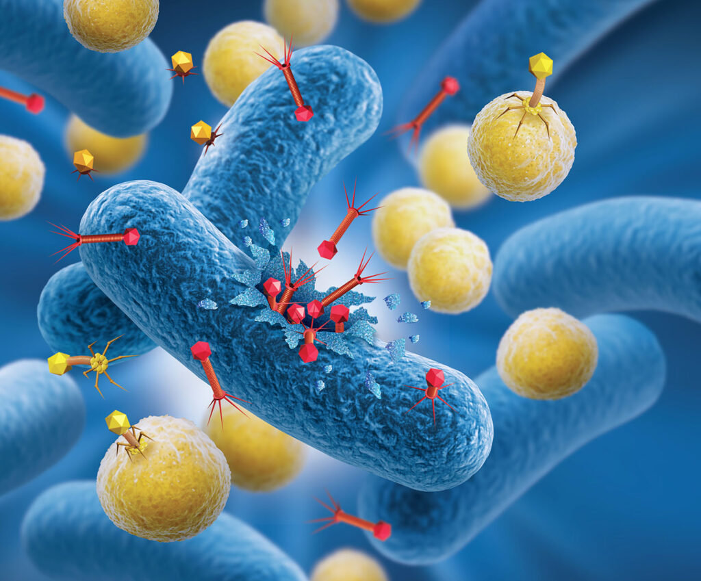 Staph Infection, Phage