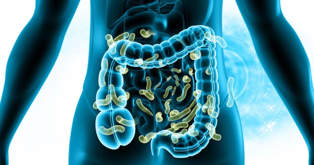 ClostraBio and Maypro team up to bring next-gen gut probiotic to market