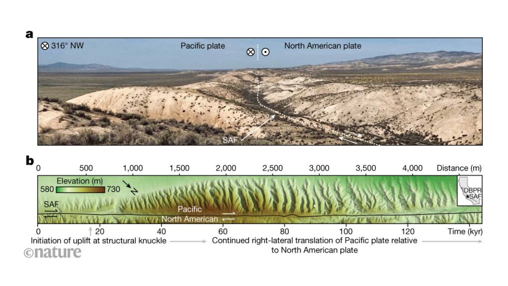 Digging into the mechanisms that underlie soil production