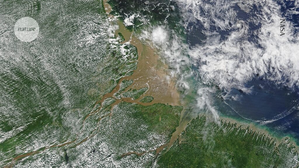 Don’t scrap climate COPs, reform them