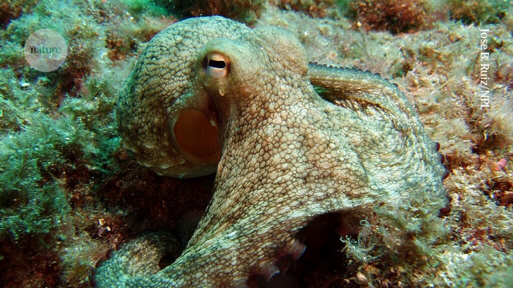 Dye or die: bacterium forced to make pigment to stay alive