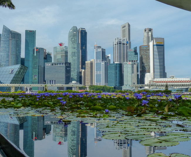 Final Phase of Singapore’s Precision Medicine Program Launches Singapore Skyline photo where the Singapore National Precision Medicine Program is taking place