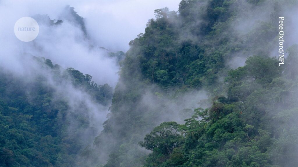 Forests’ misty breath sustains crops in distant lands