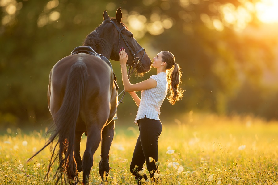 Gerosynth Labs launches horse supplement for immunity, performance and “cellular vitality” mainsitelogo