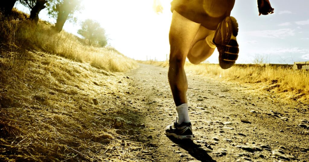 Hofseth Biocare partners with Jim Lavalle and Metabolic Elite