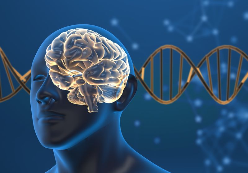 How Brain Gene Expression Changes Between Life and Death The Scientist Logo