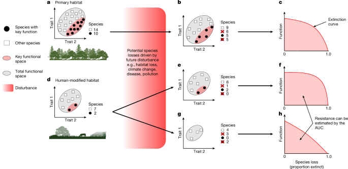 Land-use change undermines the stability of avian functional diversity Land-use change undermines the stability of avian functional diversity