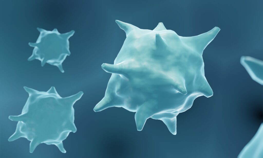 Macrophage-Blocking Antibodies Help Overcome Breast Cancer Endocrine Resistance Macrophage-Blocking Antibodies Help Overcome Breast Cancer Endocrine Resistance