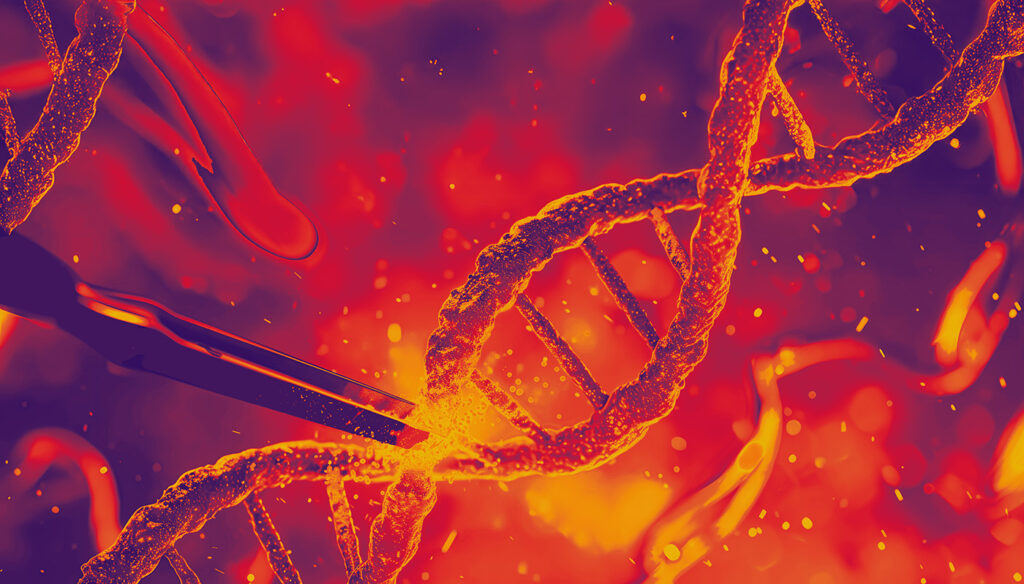 Patient Dies After Treatment with Intellia CRISPR Therapy in Phase III Trial