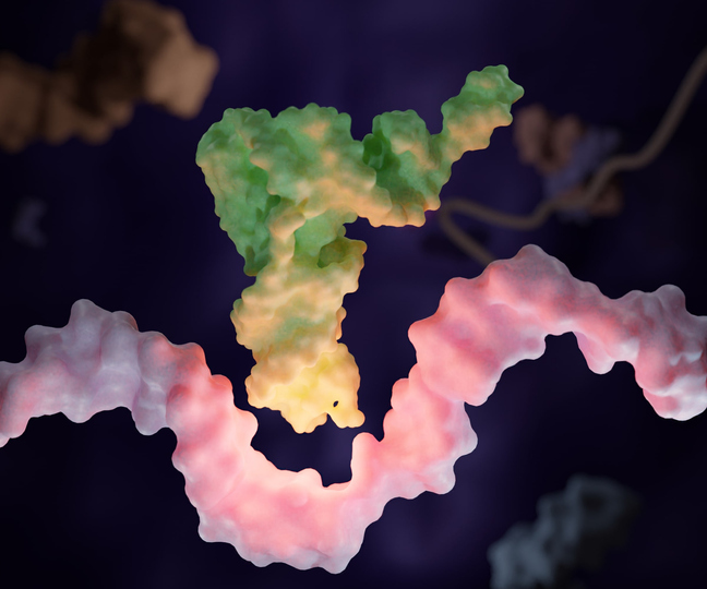 Reporter’s Notebook: The Dawn of Disease-Agnostic Gene Editing Therapies Transfer RNA (abbreviated tRNA and formerly referred to as sRNA, for soluble RNA with RNA strand in the cell