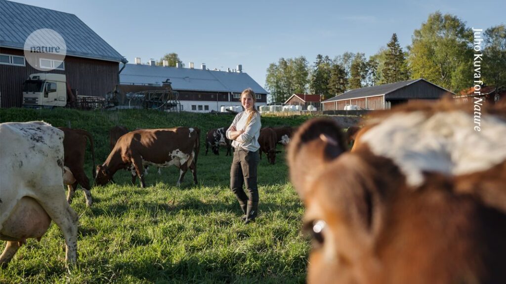 Researching sustainable food production, with help from the cows