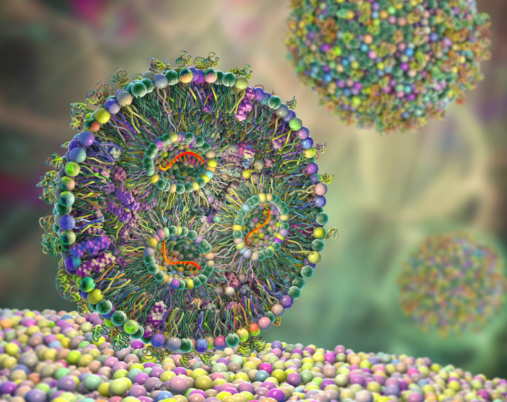Strategies for dsRNA Removal and Accurate Quantitation in Emerging mRNA Modalities Lipid nanoparticle mRNA vaccine