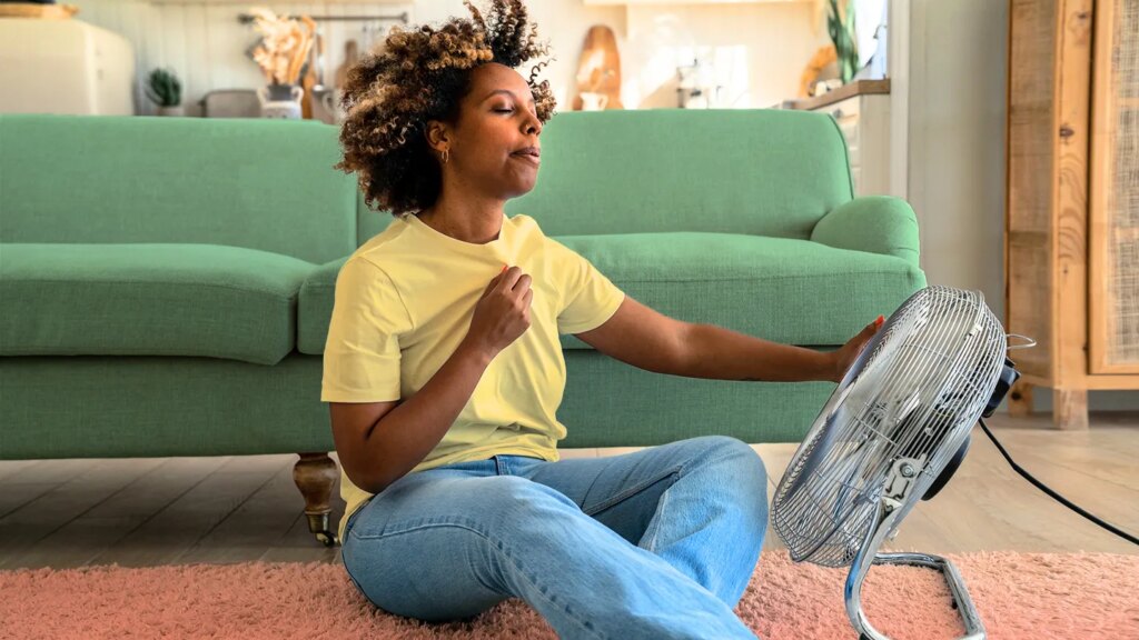 What Are Menopausal Hot Flashes? Symptoms, Causes, Diagnosis, Treatment, and Prevention