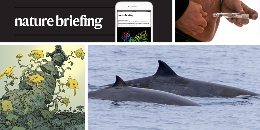 This whale has been spotted alive in the wild for the first time ever This whale has been spotted alive in the wild for the first time ever