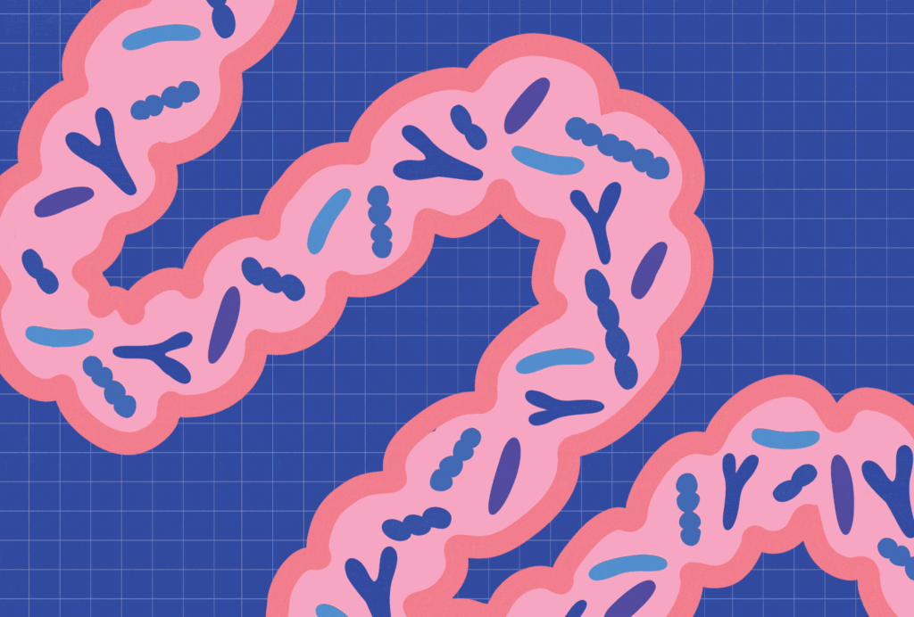 What Happens When You Take Probiotics Every Day