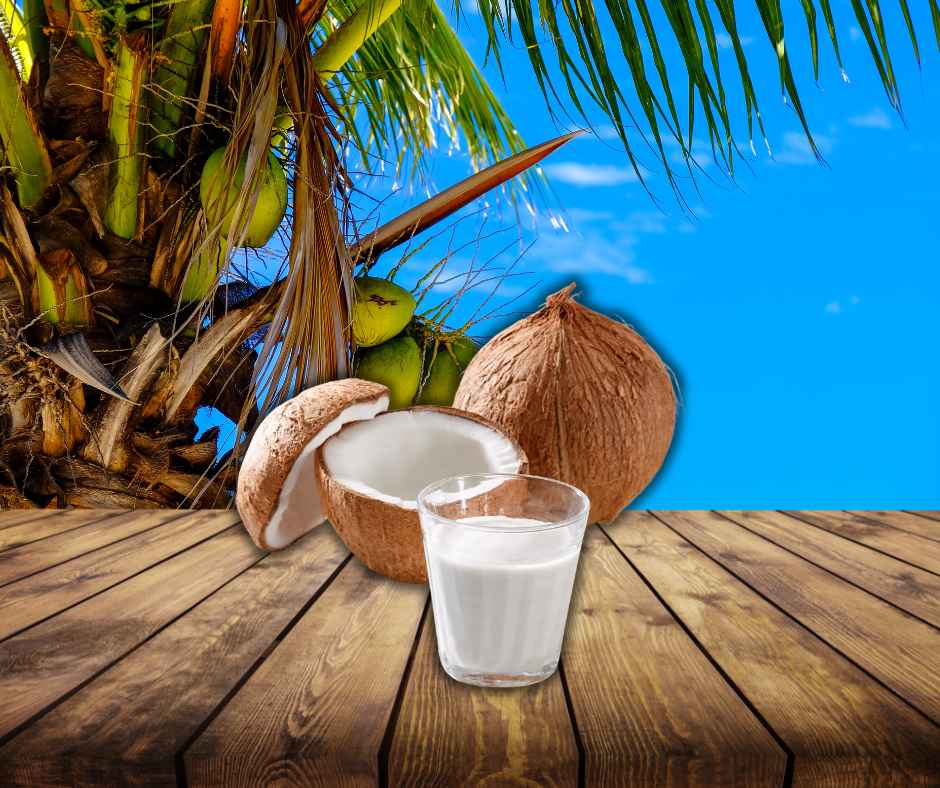 What Is Coconut Water? A Complete Beginner’s Guide What Is Coconut Water? A Complete Beginner’s Guide