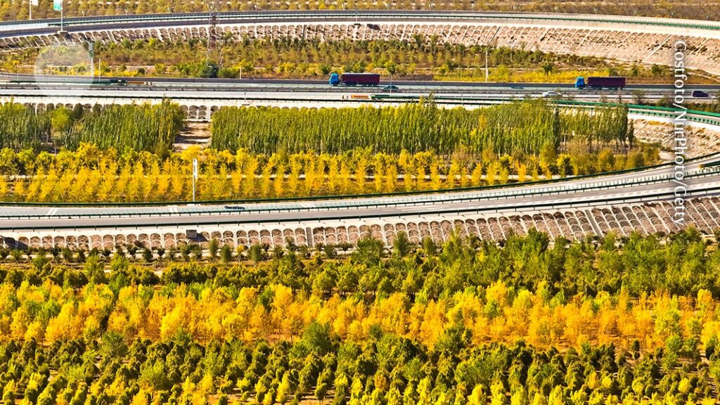 Why the global economic system should value life on our planet, not exploit it Why the global economic system should value life on our planet, not exploit it