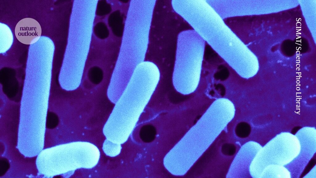 more than meets the eye