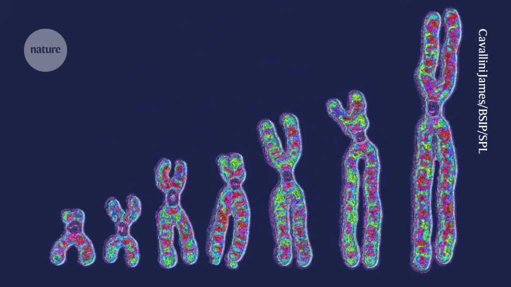 vast genetic diversity found between cells in a single person