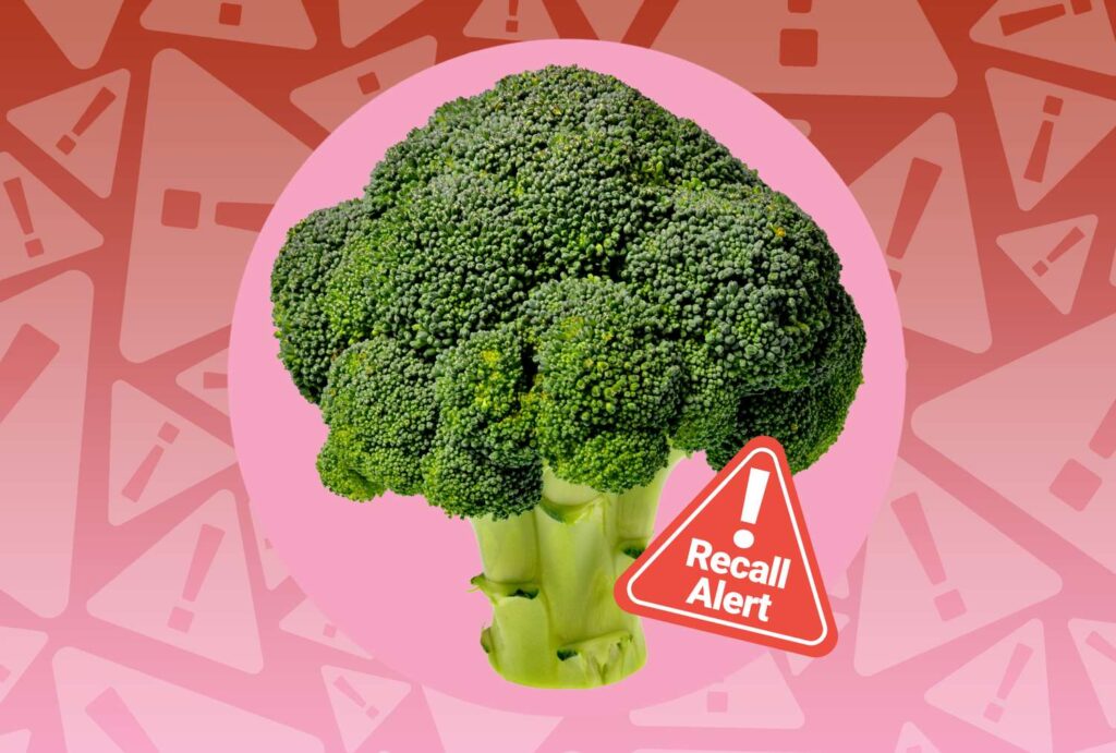 Broccoli Recall in Canada for Salmonella Contamination