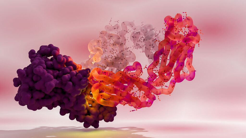 Designer Proteins Take Shape Illustration of adalimumab (marketed under the name Humira), a monoclonal antibody for treating arthritis, psoriasis, Crohn's disease, and ulcerative colitis. Adalimumab is an immunosuppressant that works by inhibiting tumour necrosis factor-alpha (TNF-alpha, dark purple)