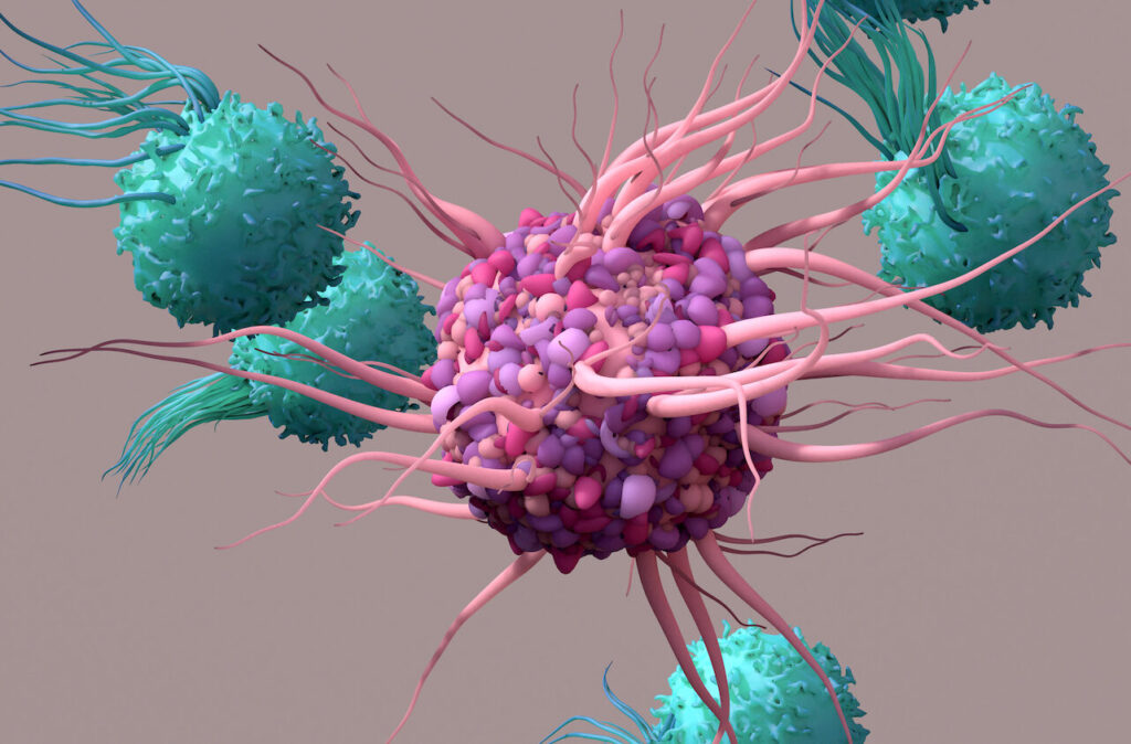 Dendritic Cell activate T cells, trigger immune responses, they are responsible of cells protection of the body.