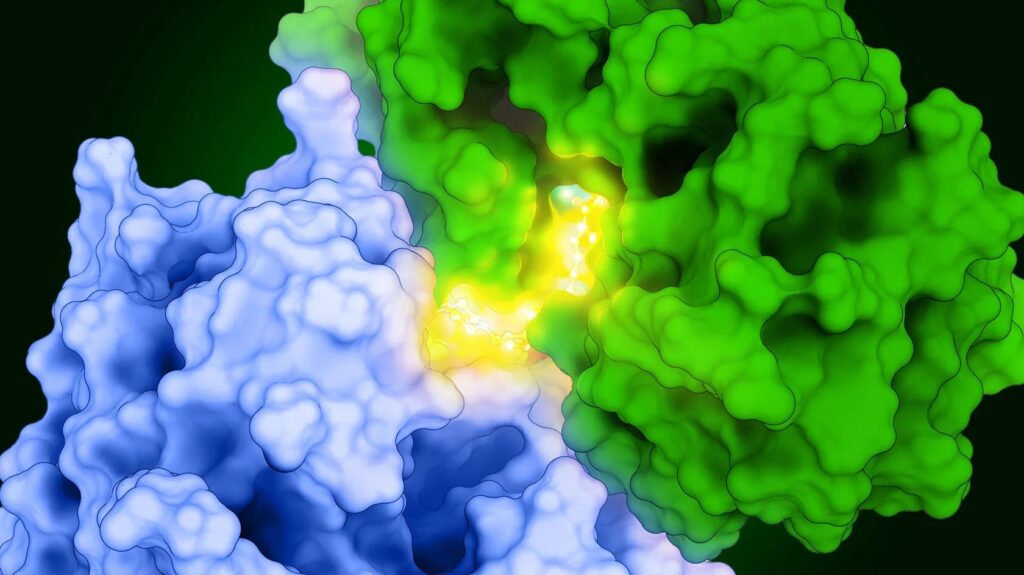 Insilico Details AI-Designed, Cancer-Fighting PROTAC Targeting PKMYT1