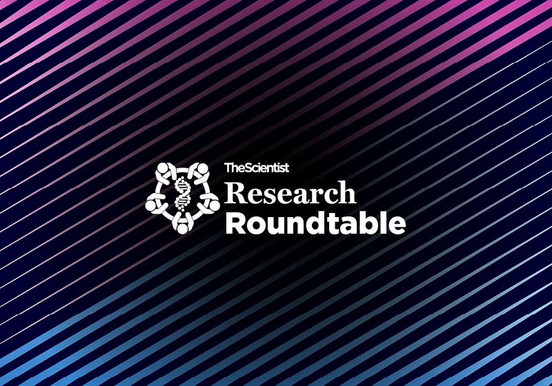 Research Roundtable: Rethinking the Role of Animals in Molecular Biology December digest cover image of a wooden sculpture comprised of multiple wooden neurons that form a seahorse.