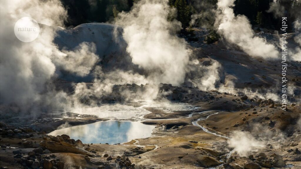 ‘Fire amoeba’ survives in hotter conditions than any other complex cell ‘Fire amoeba’ survives in hotter conditions than any other complex cell