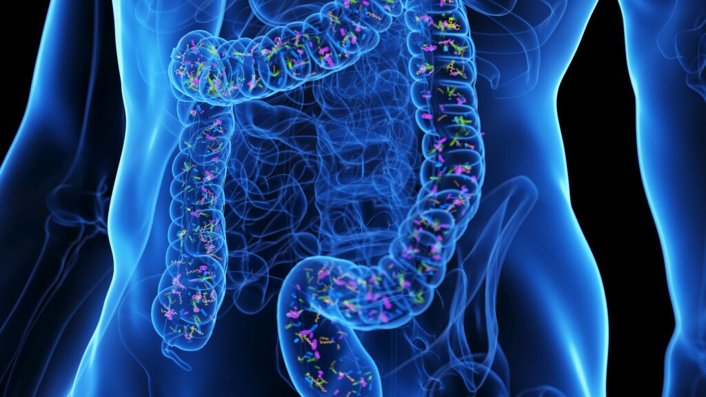 Gut Bacteria May Hold the Key to Reversing Intestinal Aging Gut Bacteria May Hold the Key to Reversing Intestinal Aging