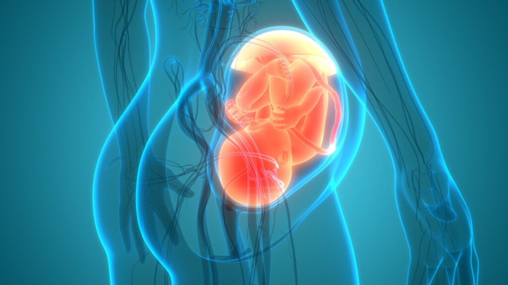 Hair-Thin Probe Enables Real-Time Fetal Monitoring During Surgery