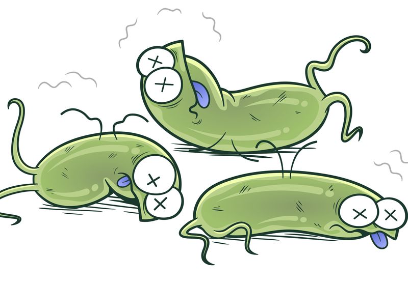 New “Kill Test” Could Help Screen Better Antibiotics The Scientist Logo