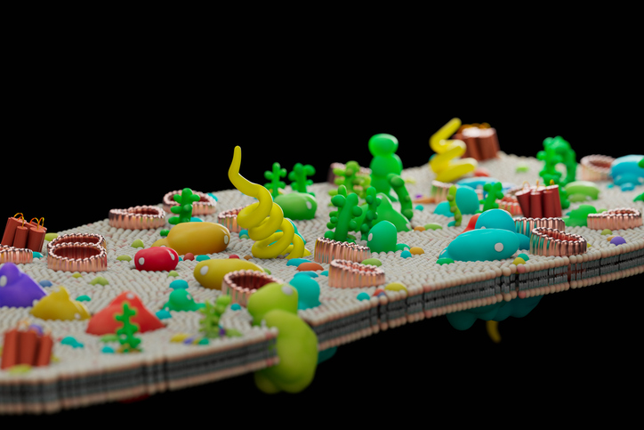 Shine On: DISCO Licenses Novel AND-Gated Cancer Target to Amgen Cell membrane with lipid bilayer, illustration