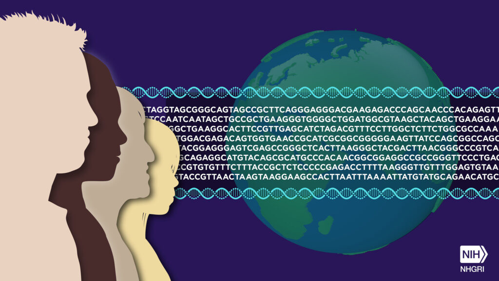 Human Genome Reference Sequence