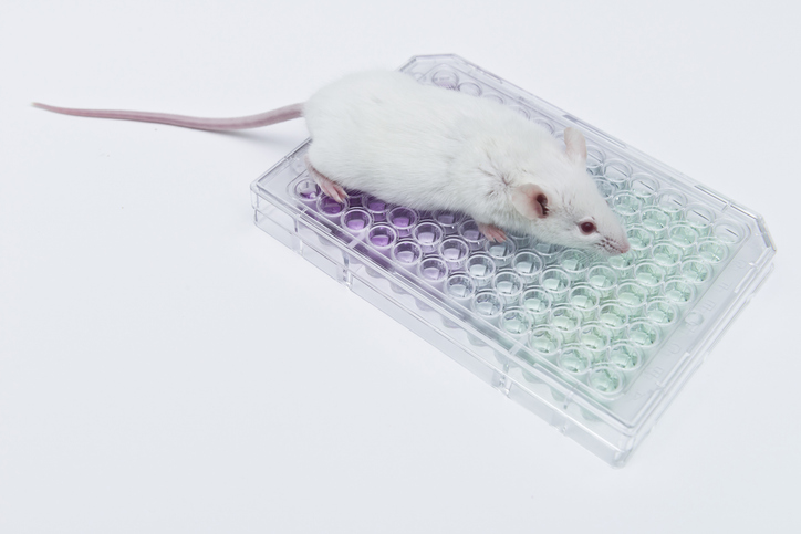 With Gordian Bio’s In Vivo Platform, Pfizer Revamps Obesity Target Discovery Experimental white mice on the 96 well plate