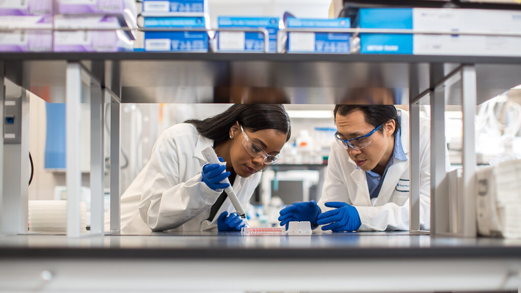 Better than Expected Q4 Lifts BMS Shares