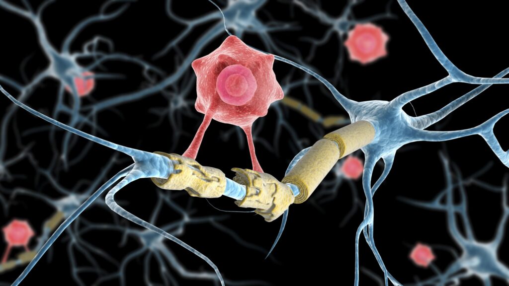 Conceptual image of a multiple sclerosis neuron healed by a T-cell.