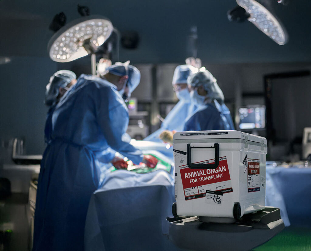 Making Silk Purses from Sow Ears Surgeons in Operating Room