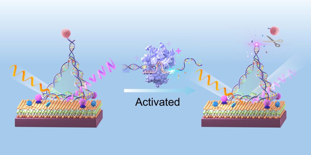 Quantum Sensor Detects Ultra-Low Levels of Cancer Biomarkers in Blood