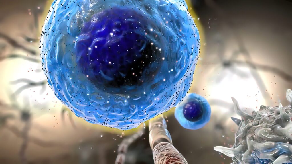 Cytokine production in activated macrophages