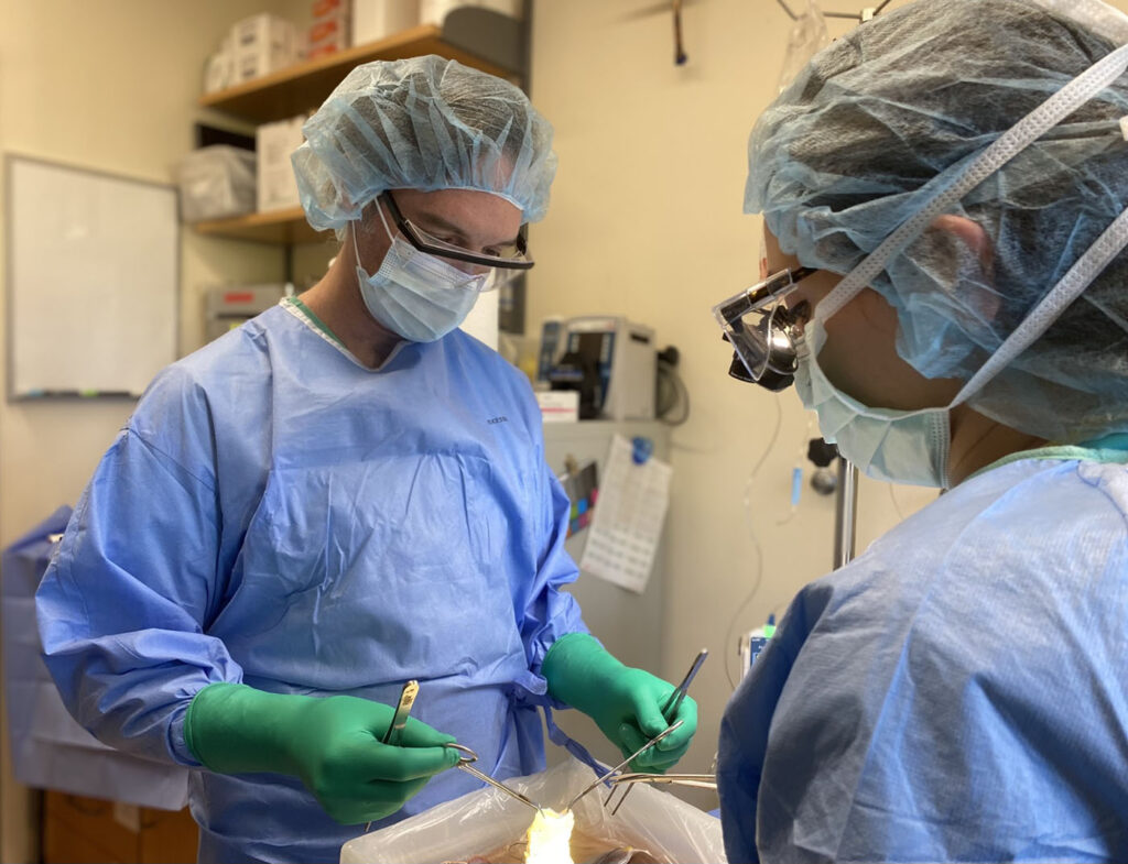 Revalia Bio’s Quest to Replace Animal Models with Human Organs Revalia Bio’s Quest to Replace Animal Models with Human Organs